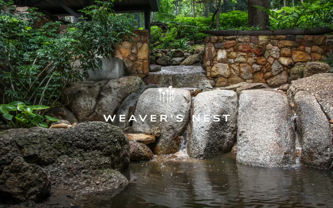 Weaver’s Nest